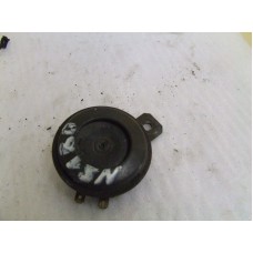NS1 HORN